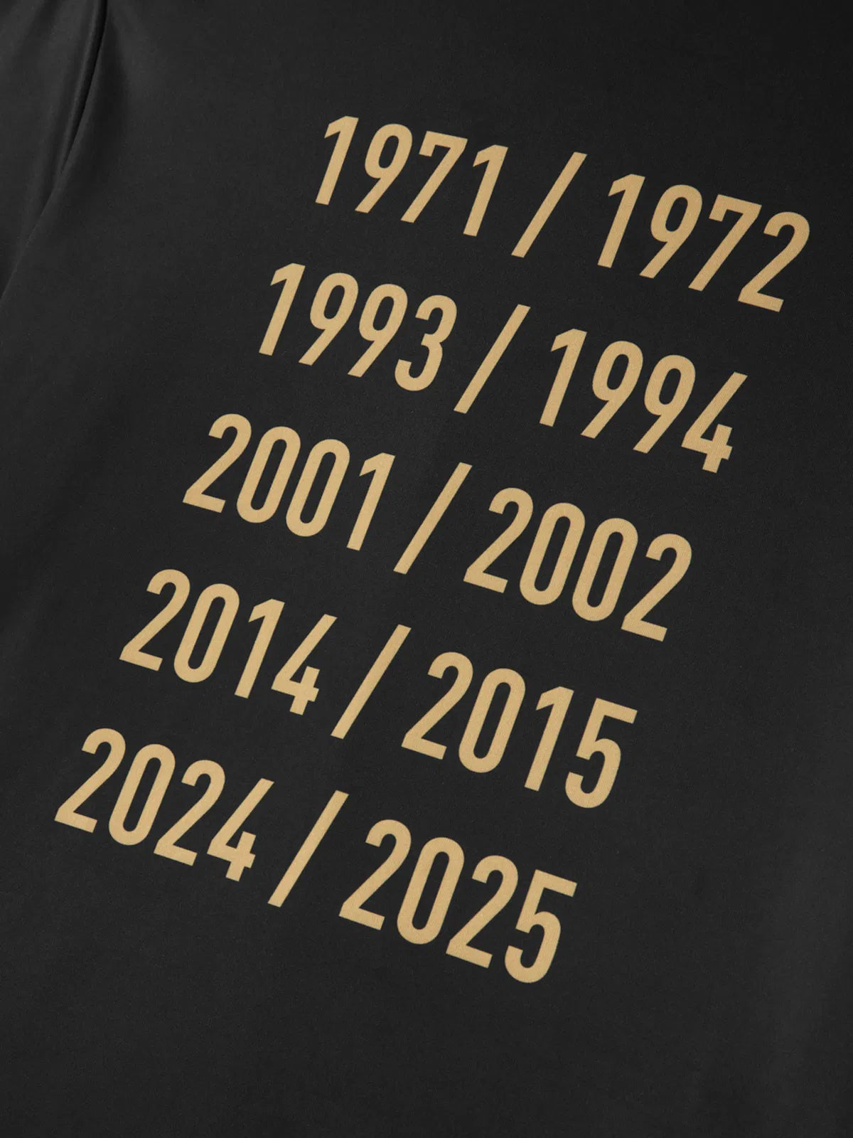 Galatasaray 25 Meisterschaft T-Shirt Puma