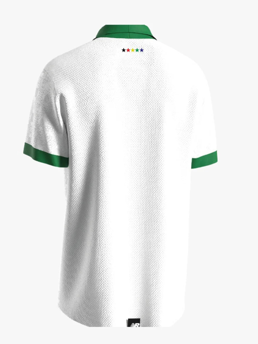 Bursaspor 2025/26 Trikot Neue Saison Efsane